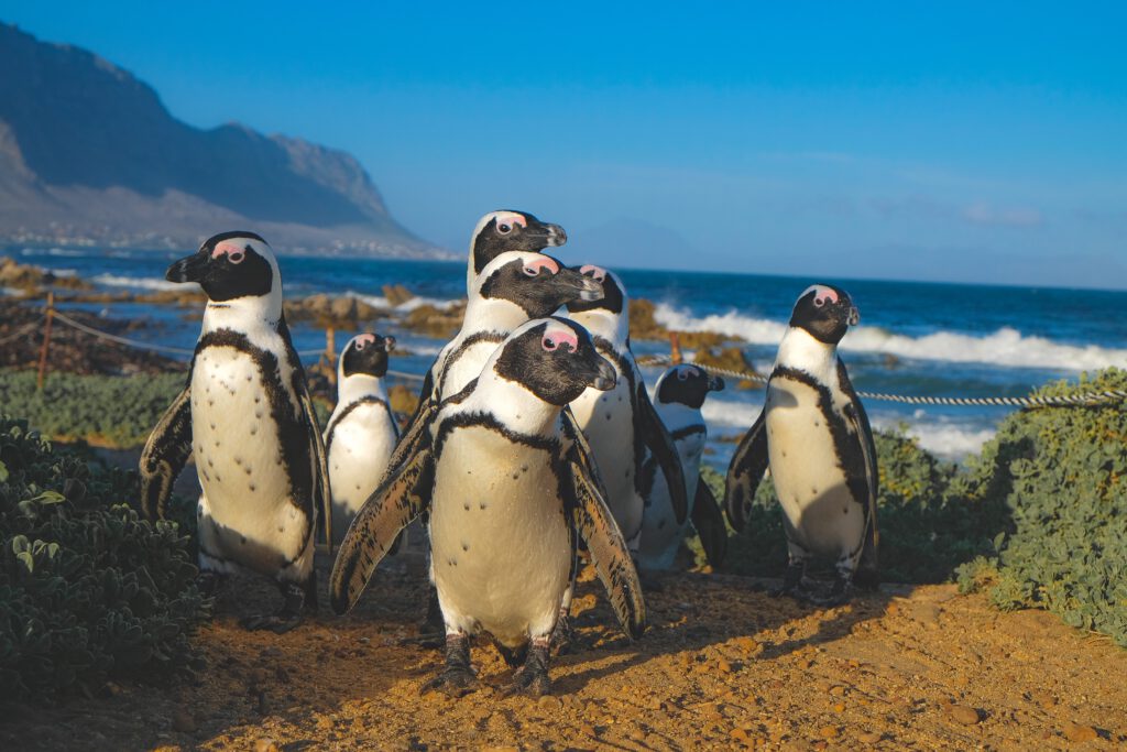 Südafrika